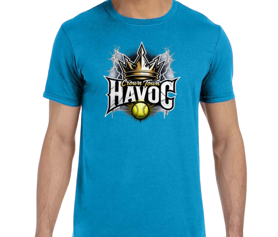 Havoc Softstyle T-Shirt - Blue