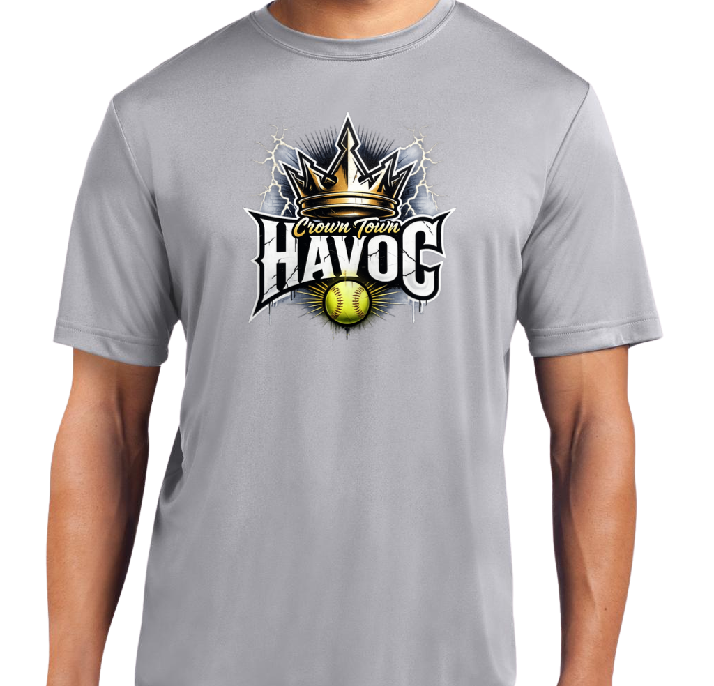 Havoc Dryfit T-Shirt - Gray
